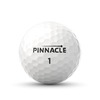 Pinnacle Soft 2024 15-Balls