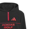 Adidas AEROREADY Graphics Hoodie Kids