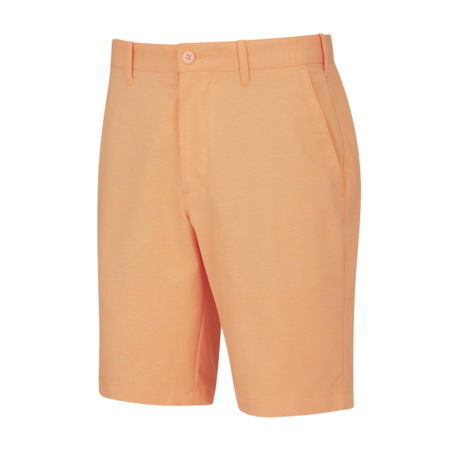Ping Bradley Short